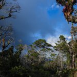 Portada/Contraportada