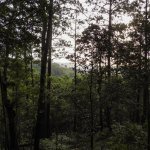 Portada/Contraportada