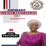 Vice President