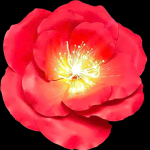 08 - Maria Đinh Thị Kim Ngân